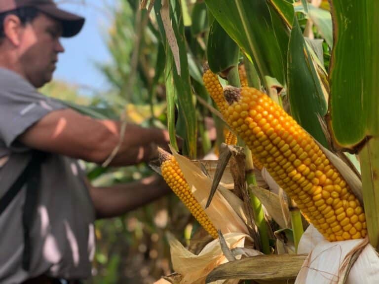 Continuum Ag® is working to engage, teach, and inspire farmers across the nation to better understand what’s going on under their feet, and utilizing the power of technology to do so.