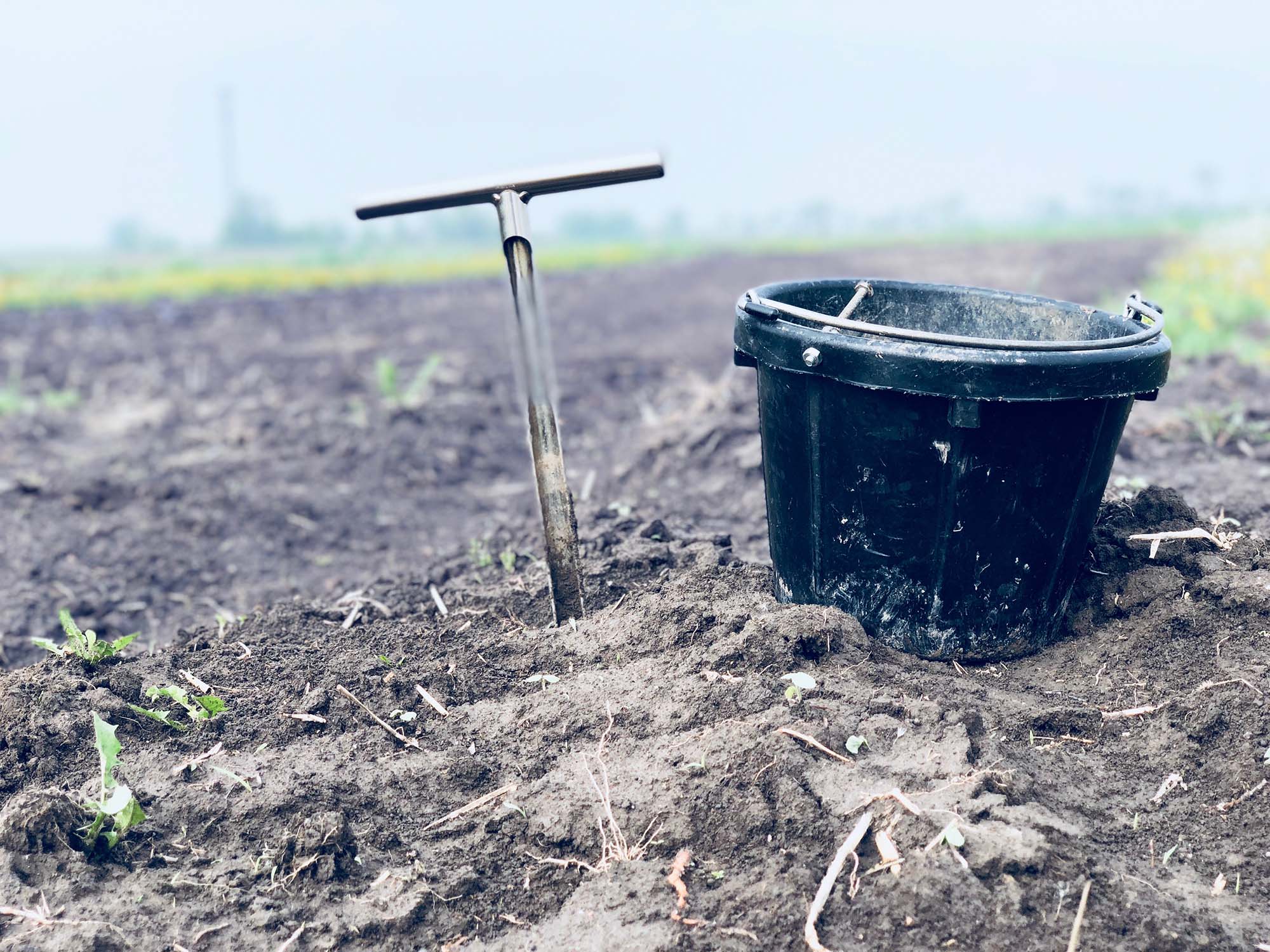 Soil Sampling is vital in understanding how to keep our soil healthy.