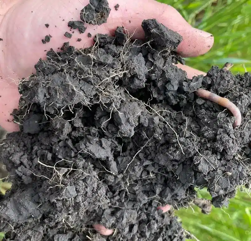 Soil health and the nutrients and organic matter that helps keep our ecosystem thriving.