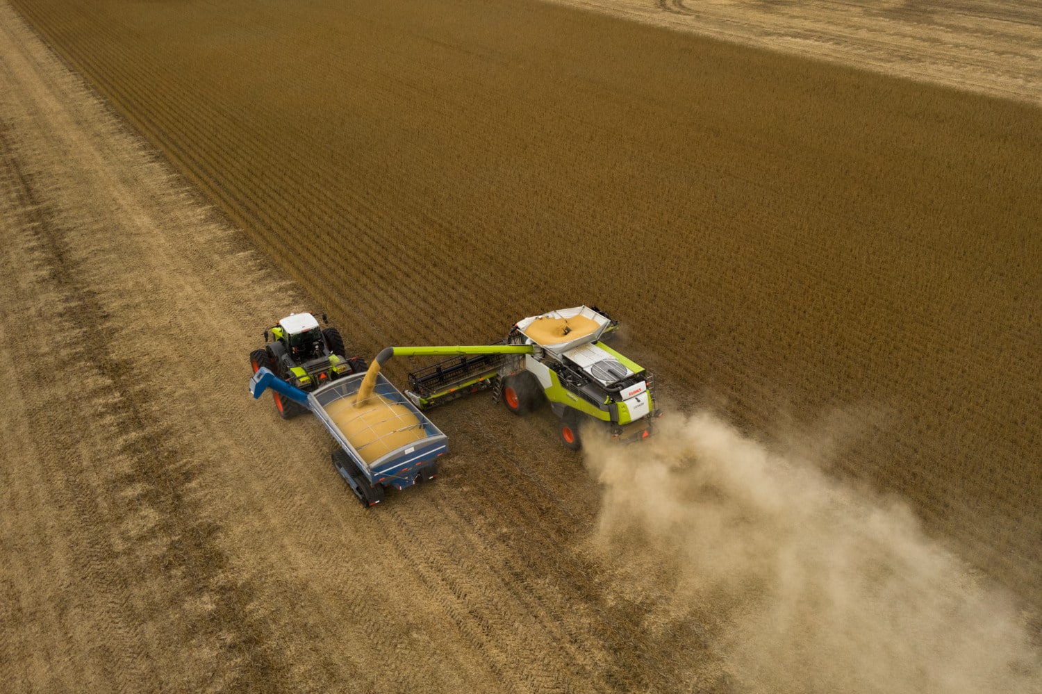 Harvesting Low Carbon Intensity Grain with a Claas Combine.