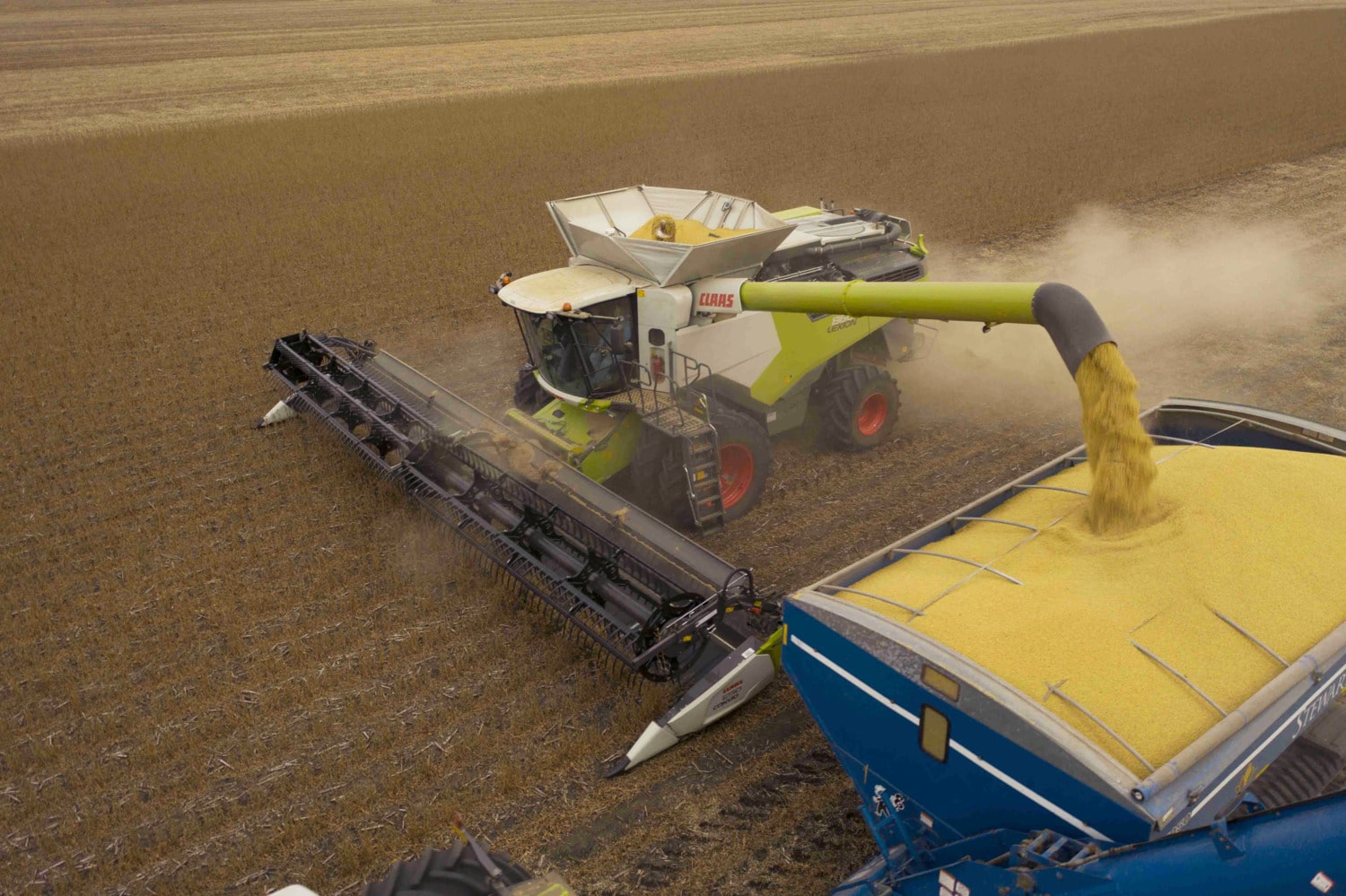 Claas combine harvesting Low Carbon Intensity Grain.
